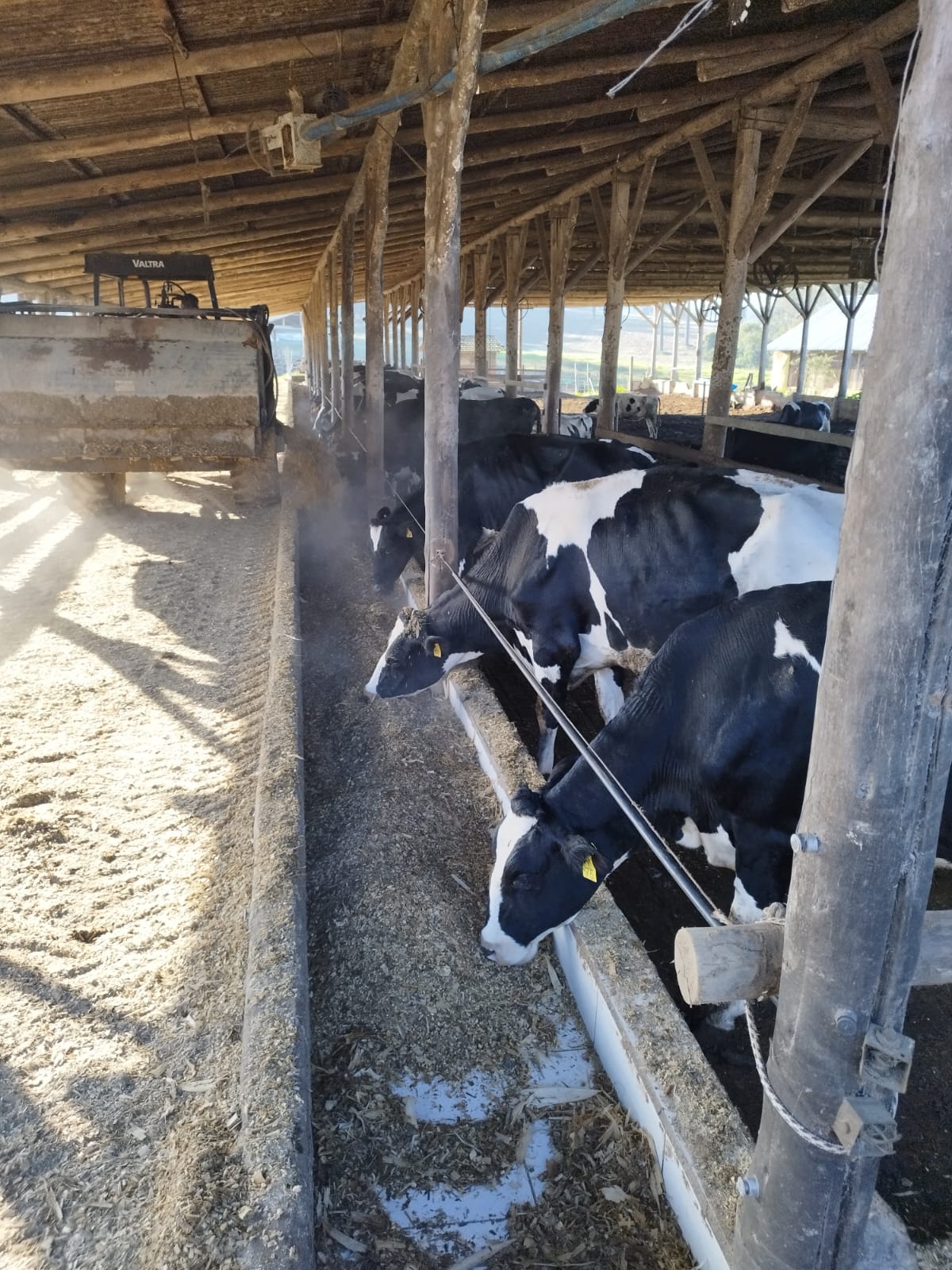 Agricultura Familiar x Prefeitura - Parcerias dão resultado positivo